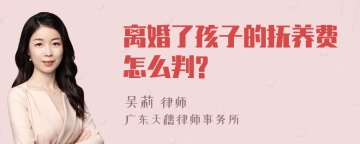 离婚了孩子的抚养费怎么判?