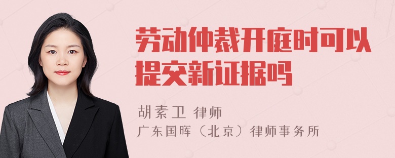 劳动仲裁开庭时可以提交新证据吗