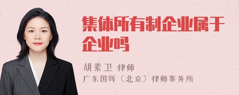 集体所有制企业属于企业吗