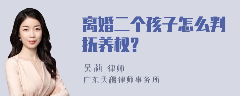 离婚二个孩子怎么判抚养权?