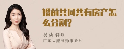 婚前共同共有房产怎么分割?