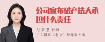 公司宣布破产法人承担什么责任