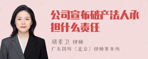 公司宣布破产法人承担什么责任