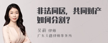 非法同居，共同财产如何分割？