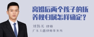 离婚后两个孩子的抚养权归属怎样确定？