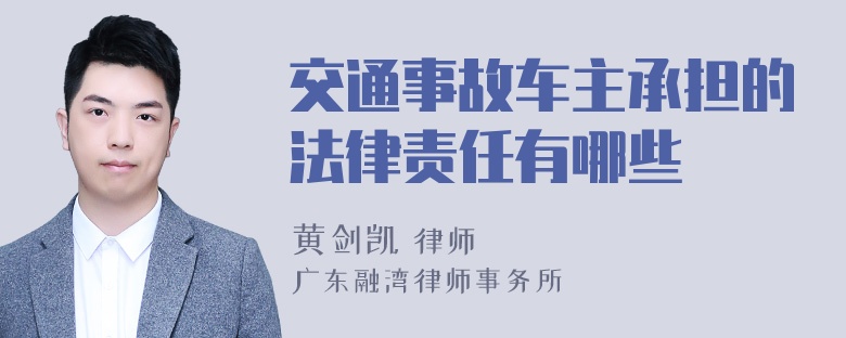 交通事故车主承担的法律责任有哪些