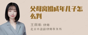 父母离婚成年儿子怎么判