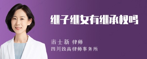 继子继女有继承权吗