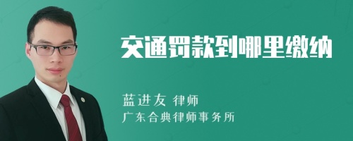 交通罚款到哪里缴纳