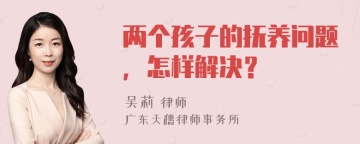 两个孩子的抚养问题，怎样解决？