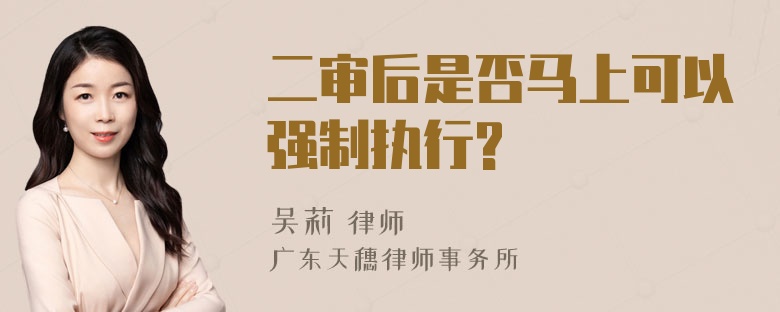 二审后是否马上可以强制执行?