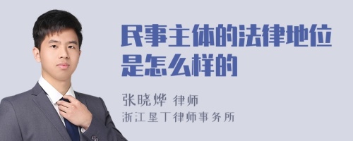 民事主体的法律地位是怎么样的