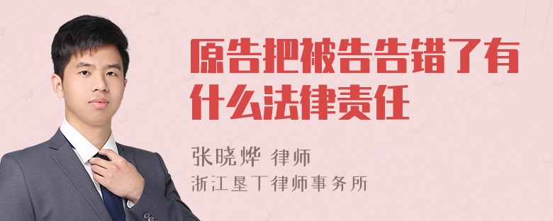 原告把被告告错了有什么法律责任