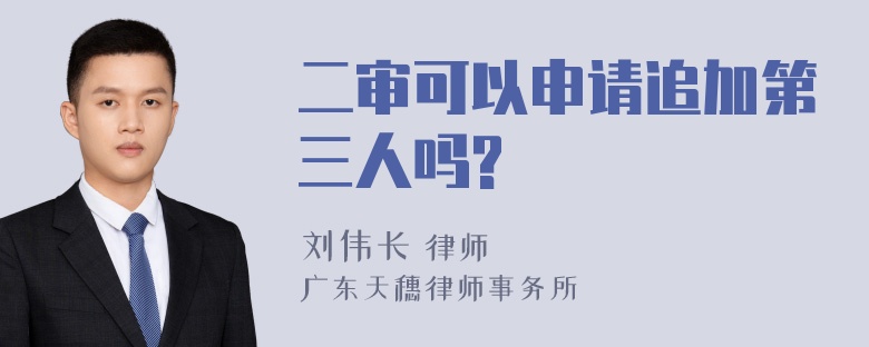 二审可以申请追加第三人吗?