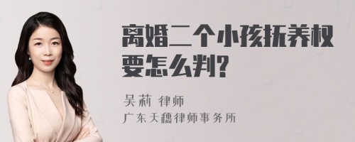 离婚二个小孩抚养权要怎么判?