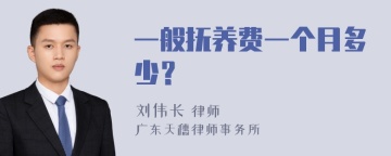 一般抚养费一个月多少？