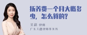 抚养费一个月大概多少，怎么算的?