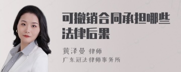 可撤销合同承担哪些法律后果