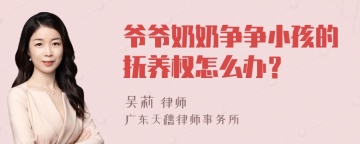 爷爷奶奶争争小孩的抚养权怎么办？