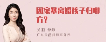 因家暴离婚孩子归哪方？