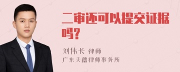 二审还可以提交证据吗?