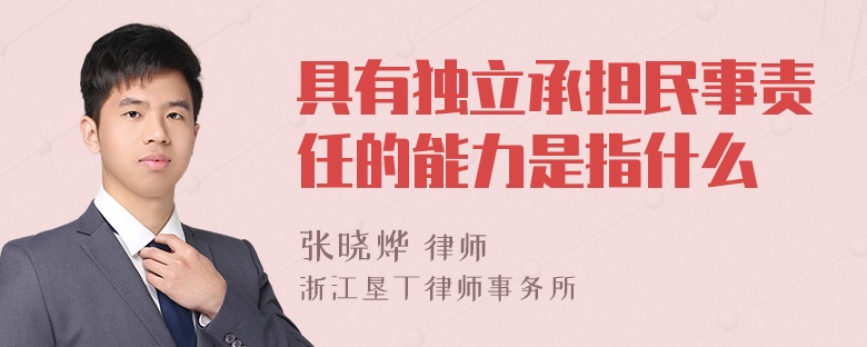 具有独立承担民事责任的能力是指什么