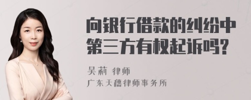 向银行借款的纠纷中第三方有权起诉吗?