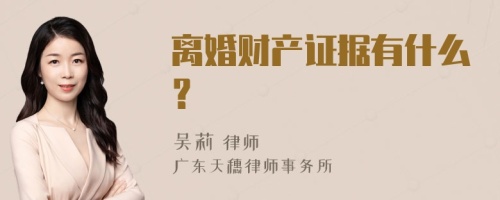 离婚财产证据有什么？