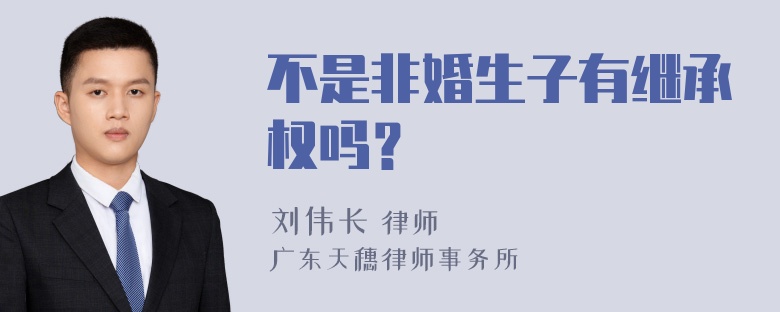 不是非婚生子有继承权吗？