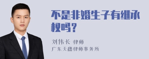 不是非婚生子有继承权吗？