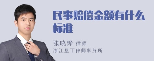 民事赔偿金额有什么标准