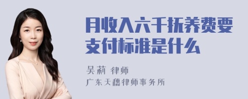 月收入六千抚养费要支付标准是什么