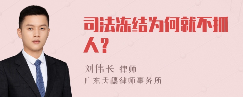 司法冻结为何就不抓人？