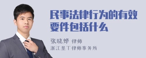 民事法律行为的有效要件包括什么