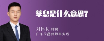 孳息是什么意思?