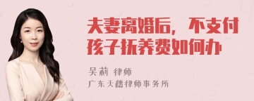 夫妻离婚后，不支付孩子抚养费如何办