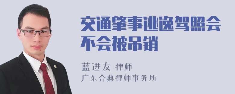 交通肇事逃逸驾照会不会被吊销