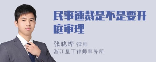 民事速裁是不是要开庭审理