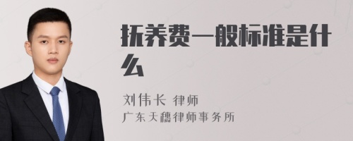 抚养费一般标准是什么