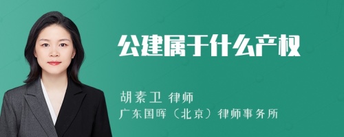 公建属于什么产权