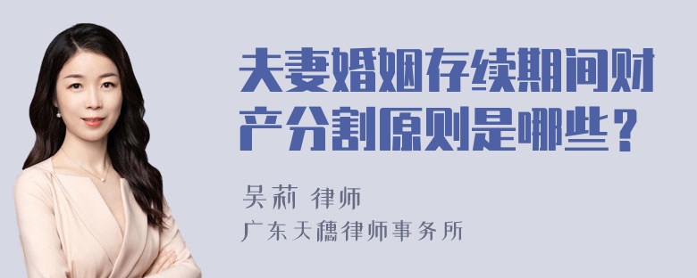 夫妻婚姻存续期间财产分割原则是哪些？