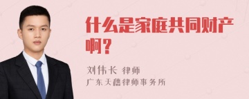 什么是家庭共同财产啊？