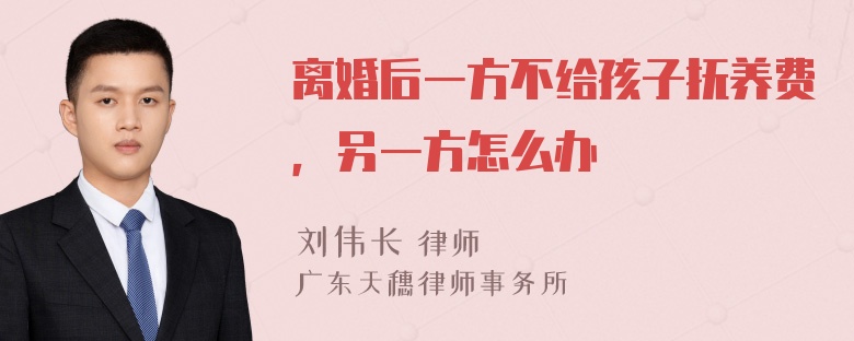 离婚后一方不给孩子抚养费，另一方怎么办