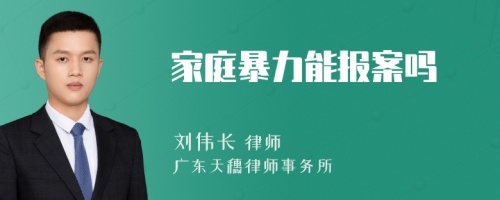 家庭暴力能报案吗