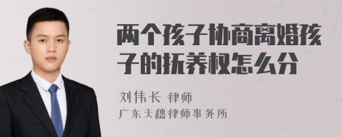 两个孩子协商离婚孩子的抚养权怎么分