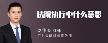 法院执行中什么意思