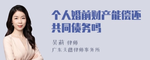 个人婚前财产能偿还共同债务吗