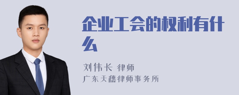 企业工会的权利有什么