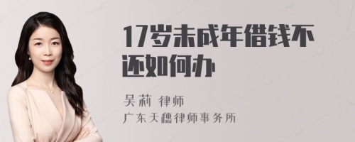 17岁未成年借钱不还如何办