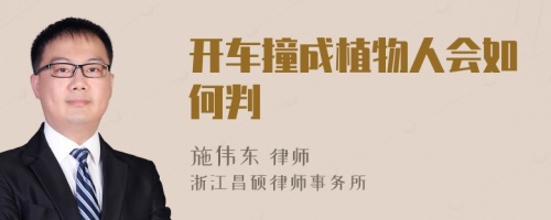 开车撞成植物人会如何判